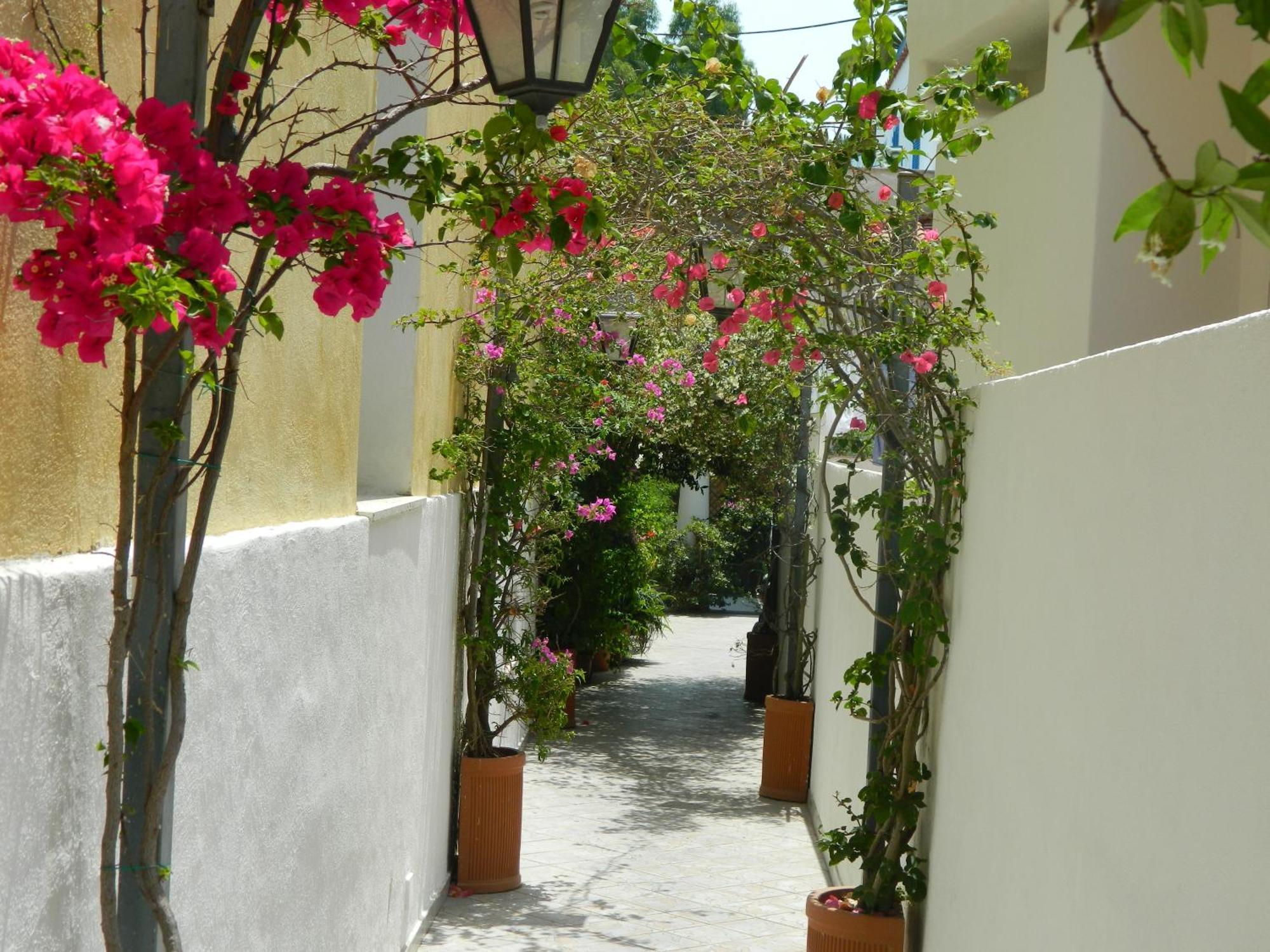 Hotel Villa Hermosa Ísquia Exterior foto